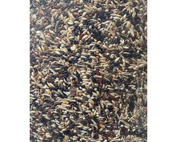 Jan Koenings Putters en Sijzenvoer nr. 3 - 5 kilo - Overige zaden - Vogelzaad - Vogelvoer - Kapoetsensijs (Carduelis cucullata)