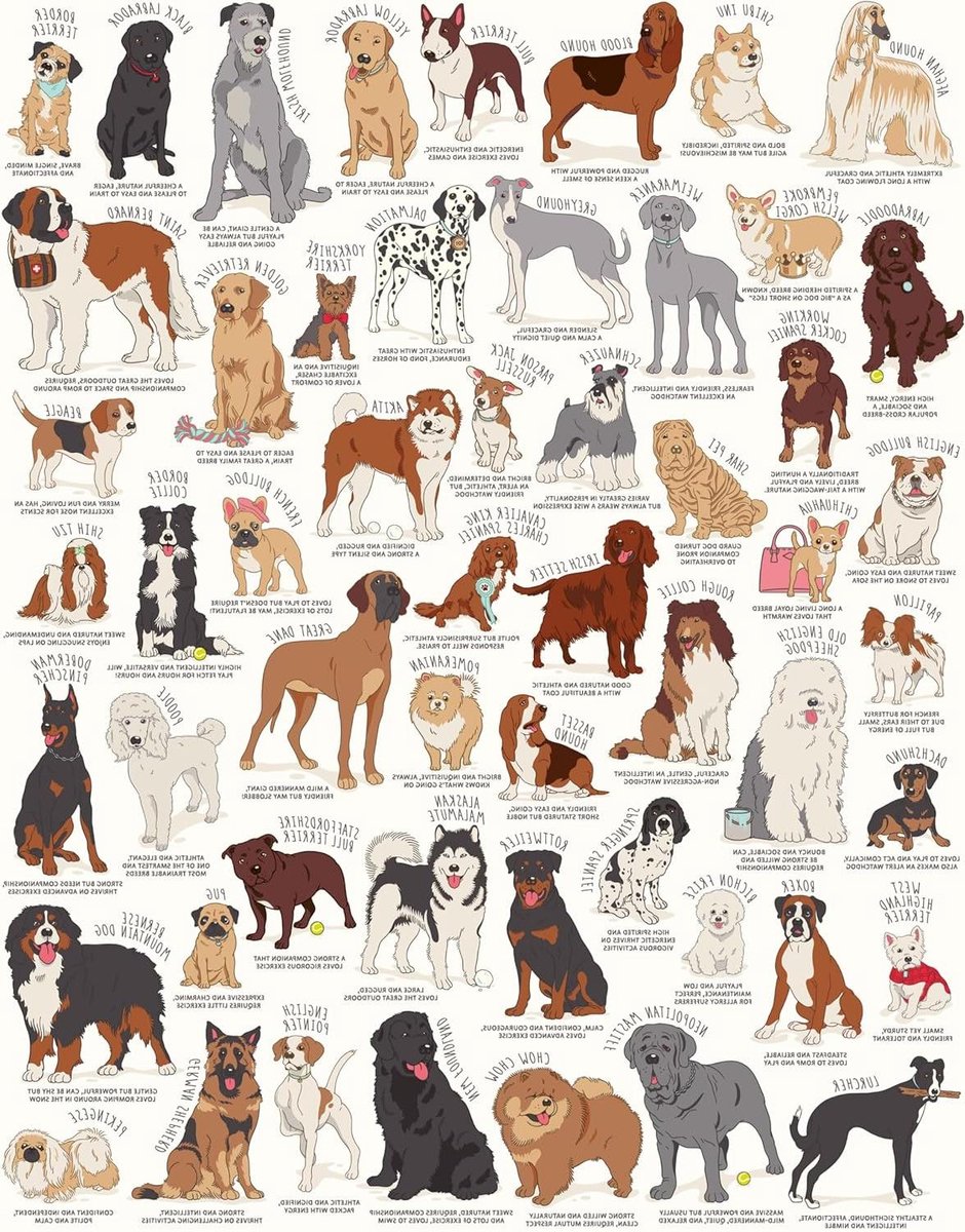 Ridley's Games JIG056 Dog Lovers Jigsaw Puzzle, White, 1000 Piece