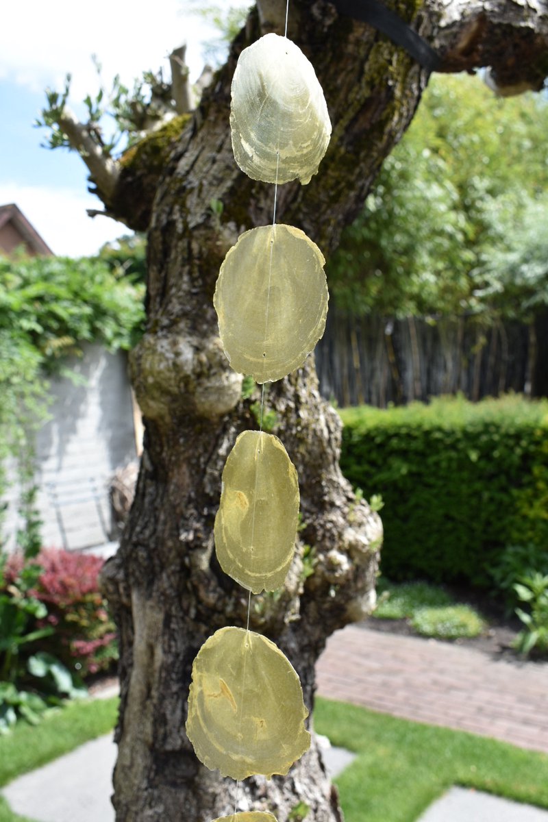 Capiz slinger / hanger ByBazz 190 cm - Olijfgroene ruwe schelpenslinger - Decoratie - Ibiza / Boho - wanddecoratie schelpenhanger - Capiz woonslinger - Capiz hanger.