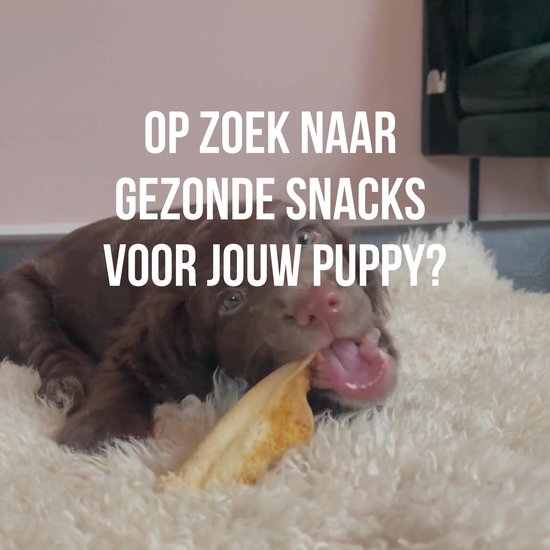 Puppy Hondensnacks Box – Zonder Speelgoed | Bellobox