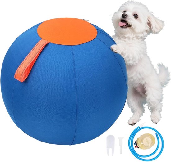 Witte hond naast grote blauwe bal met oranje bovenkant en handvat. Accessoires zijn zichtbaar.