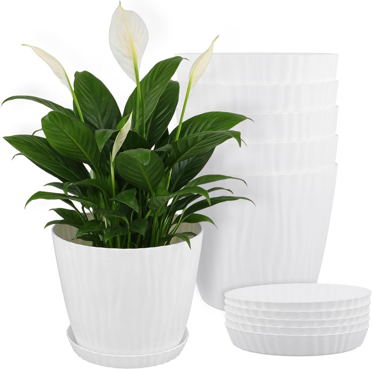 Set van 6 Binnenplant Potten met Afvoergaten en Schotels, 18cm Wit Modern Gestreept Ontwerp voor Huisplanten, Tuinaccessoires en Decoratie