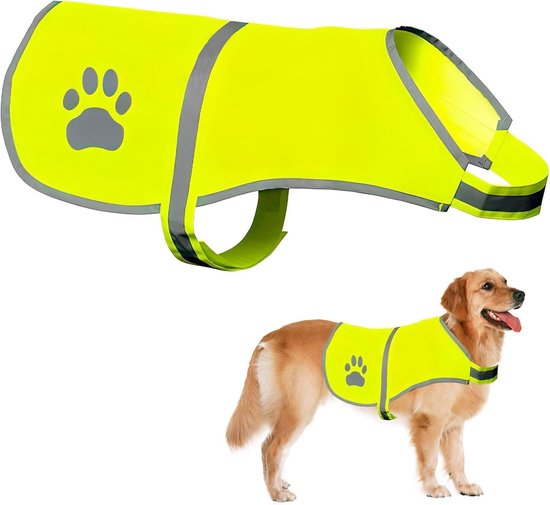 Golden Retriever met geel veiligheidsvest met pootafdruk, staand.