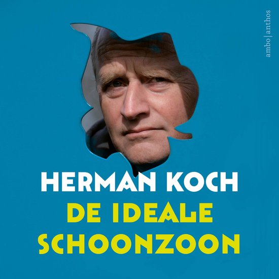 De ideale schoonzoon - cover