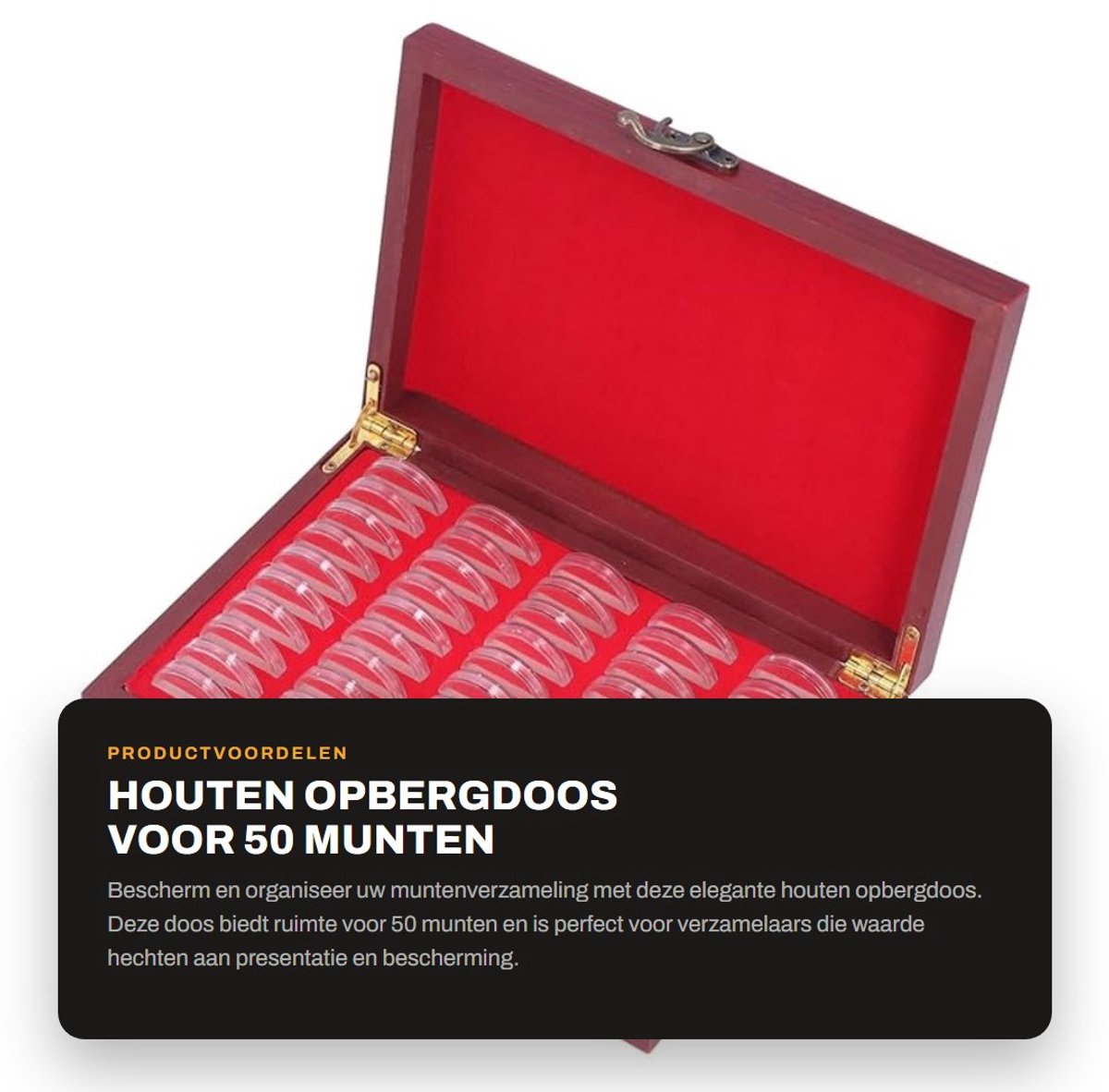 Dailygoods- Opbergdoos Hout voor 50 Munten - Premium Muntbescherming - Munthouder - Verzamelkast - Organiseren - Duurzame Constructie