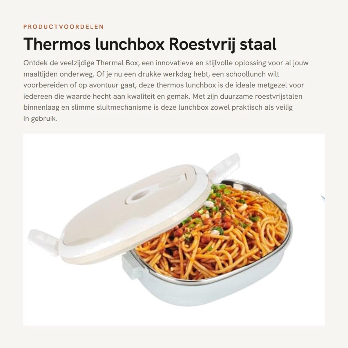 Dailygoods- Thermobox Premium Roestvrij Staal - Thermische Lunchbox - Draagbare Voedselcontainer - Dubbele Handgreep - Veilig en Hygiënisch - 33x40cm