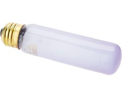 Infrarood Lamp Reptielen - Warmtelamp Terrarium - Reptielen Welzijn - Breed Spectrum Daglicht - 15 W - Glas