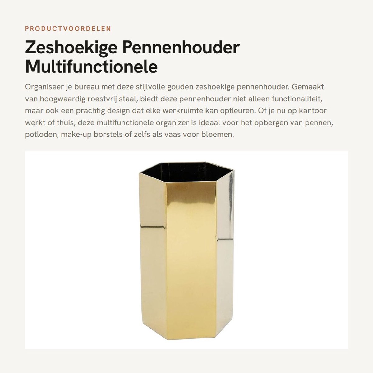 ZEYNOMAX- Pennenhouder Hoogwaardige Roestvrij Stalen - Bureau Organizer - Hexagonaal - Multifunctioneel - Scandinavisch Design - Elegante Afwerking - Pennenbakje