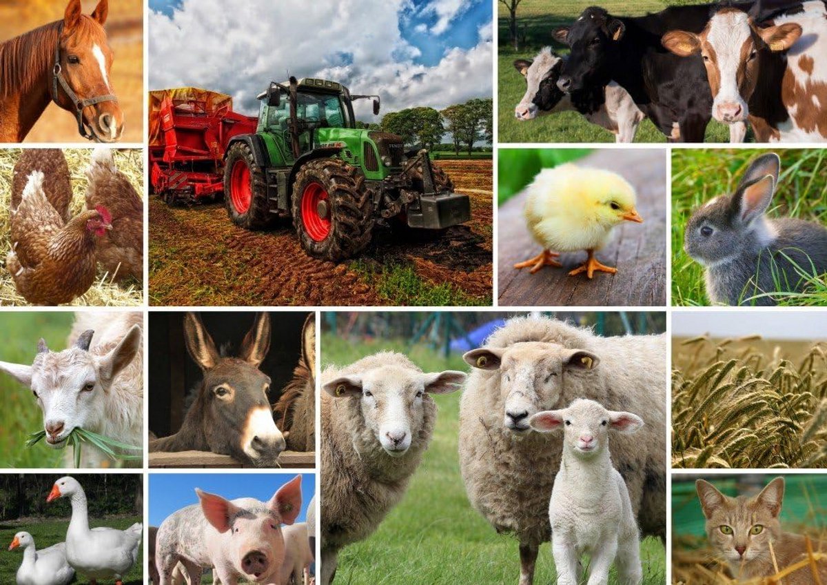 Legpuzzel 1500 Stukjes - Kleurrijke Collage Boerderijdieren