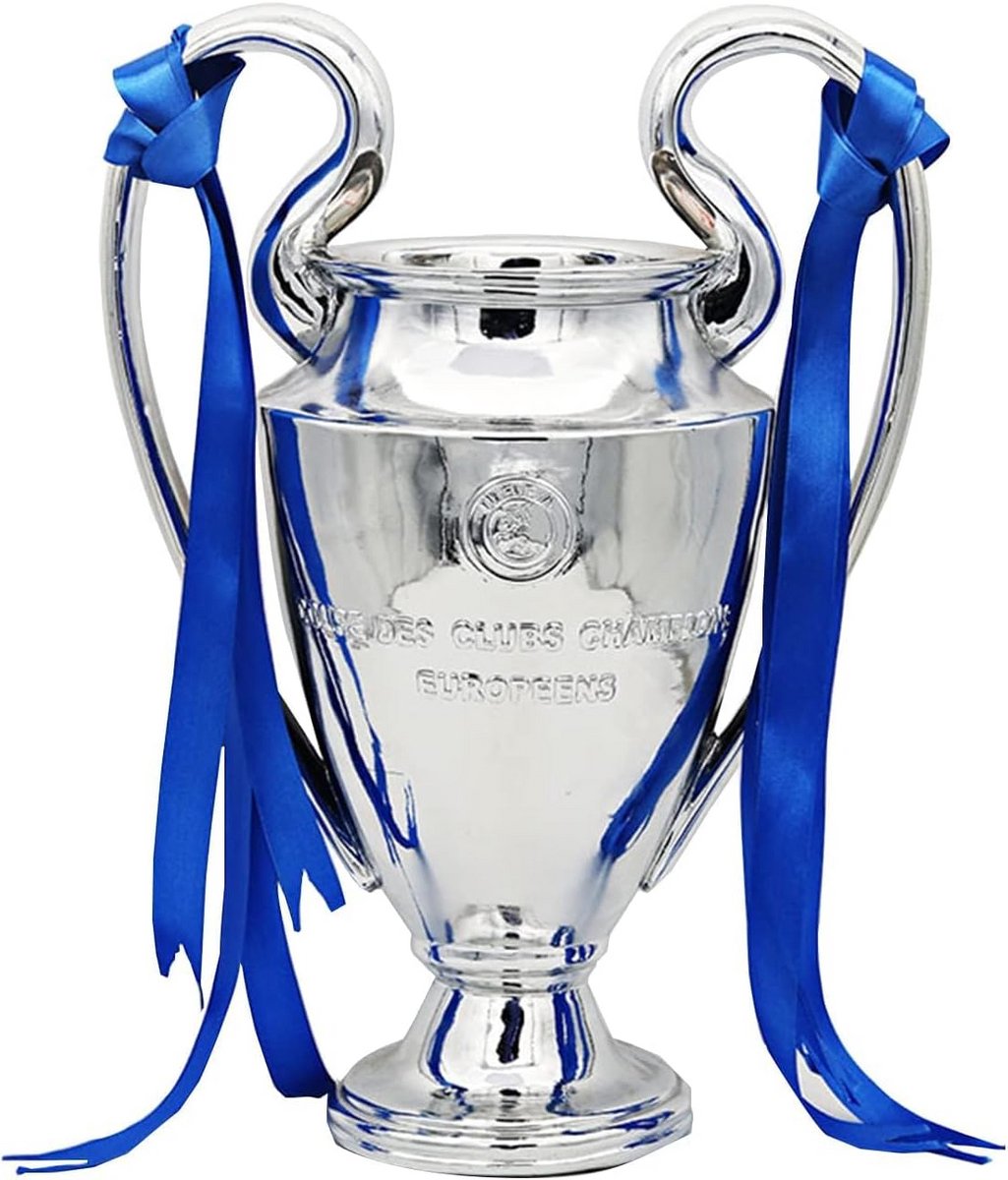 Kampioenstrofee - Voetbal Beker - Sport Prijzen - Milieuvriendelijk Hars - 15 cm - Zilverkleurig