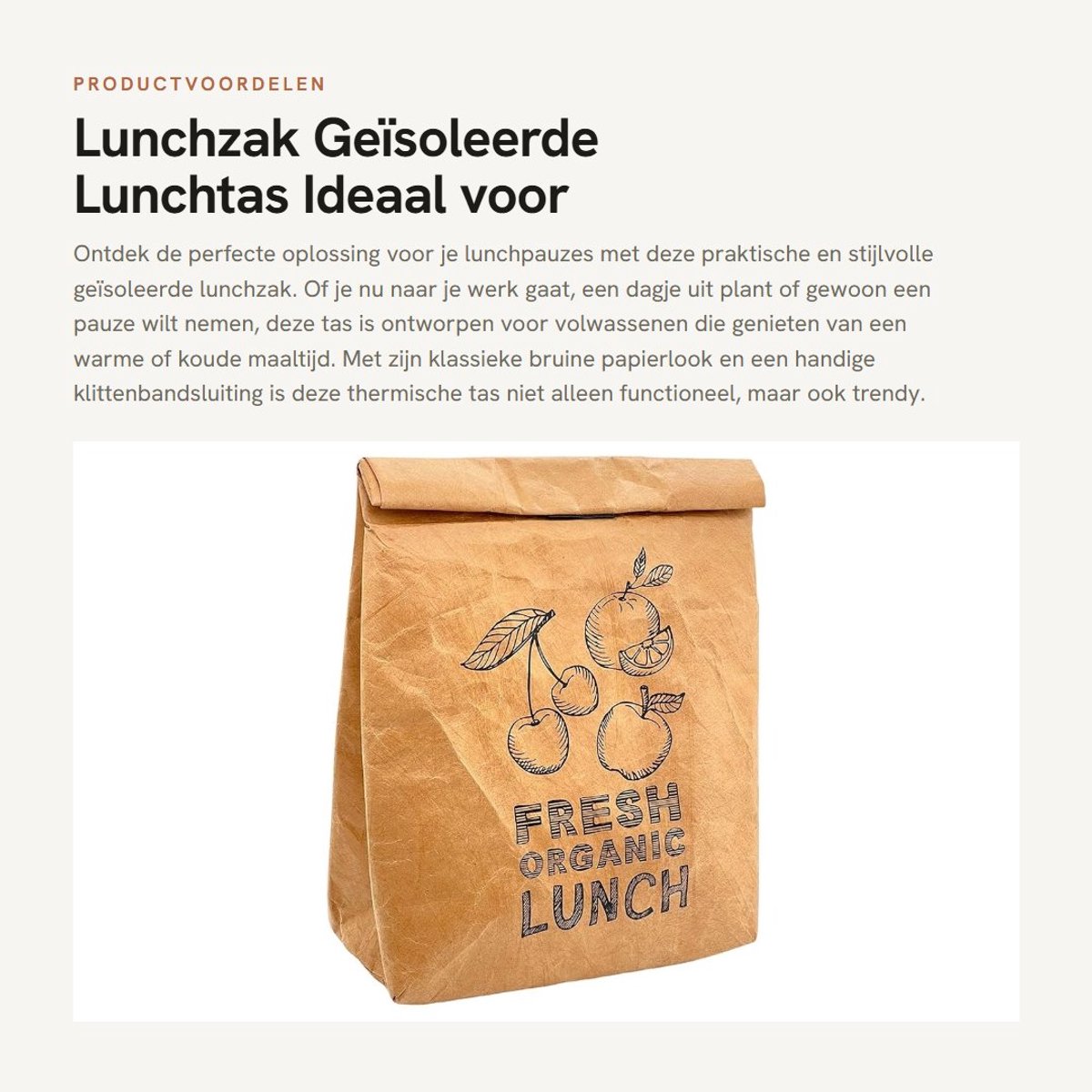 Dailygoods- Lunchzak geïsoleerd - Koeltas - Klittenbandsluiting - Aluminium coating - Afmetingen 31 x 20 x 16 cm - Praktisch design