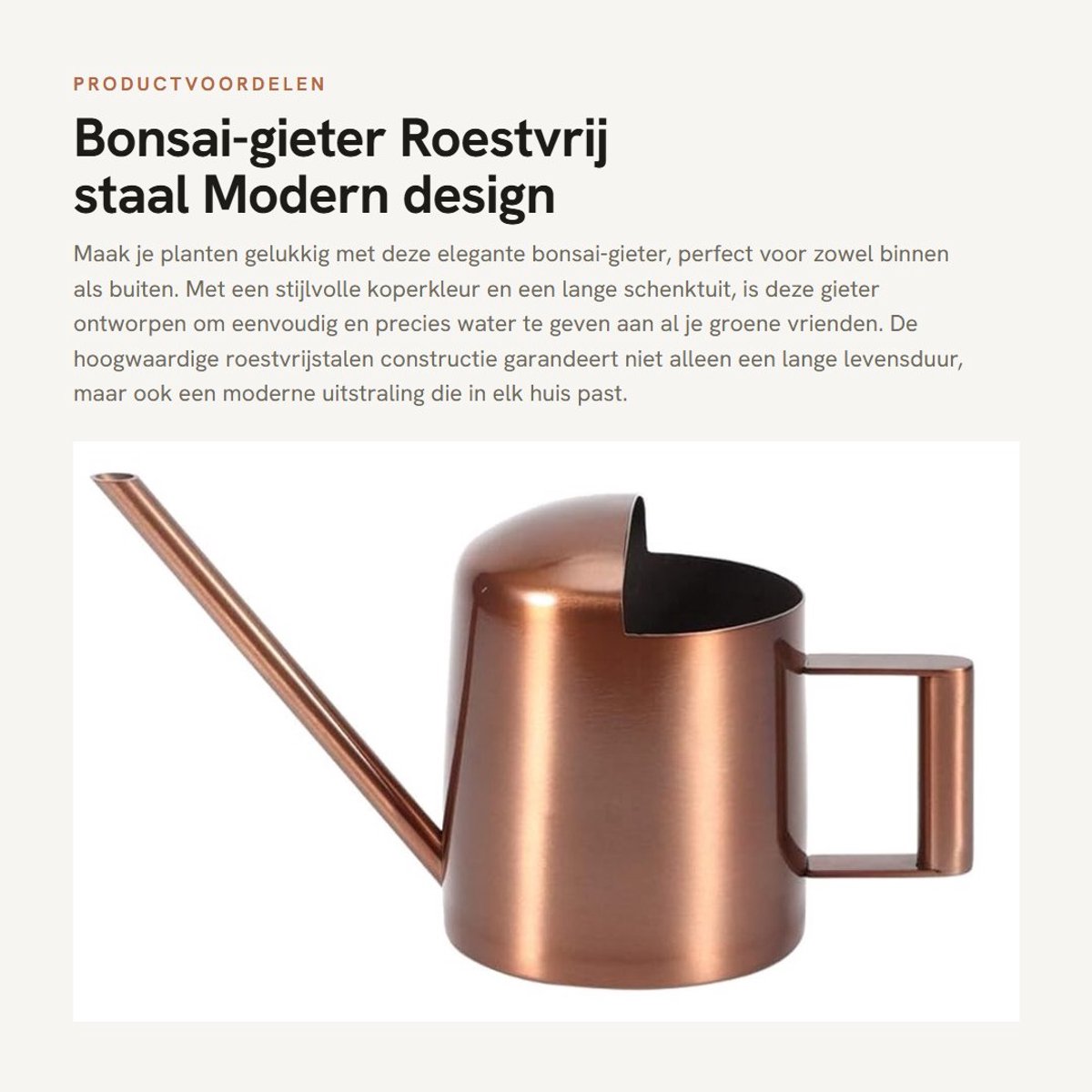 Dailygoods- Bonsai-Gieter 300 ml - Roestvrij Staal - Lange Schenktuit - Voor Binnen/Buiten - Eenvoudig Vast Te Pakken - Glanzend en Corrosiebestendig - Plantenbewateringscan