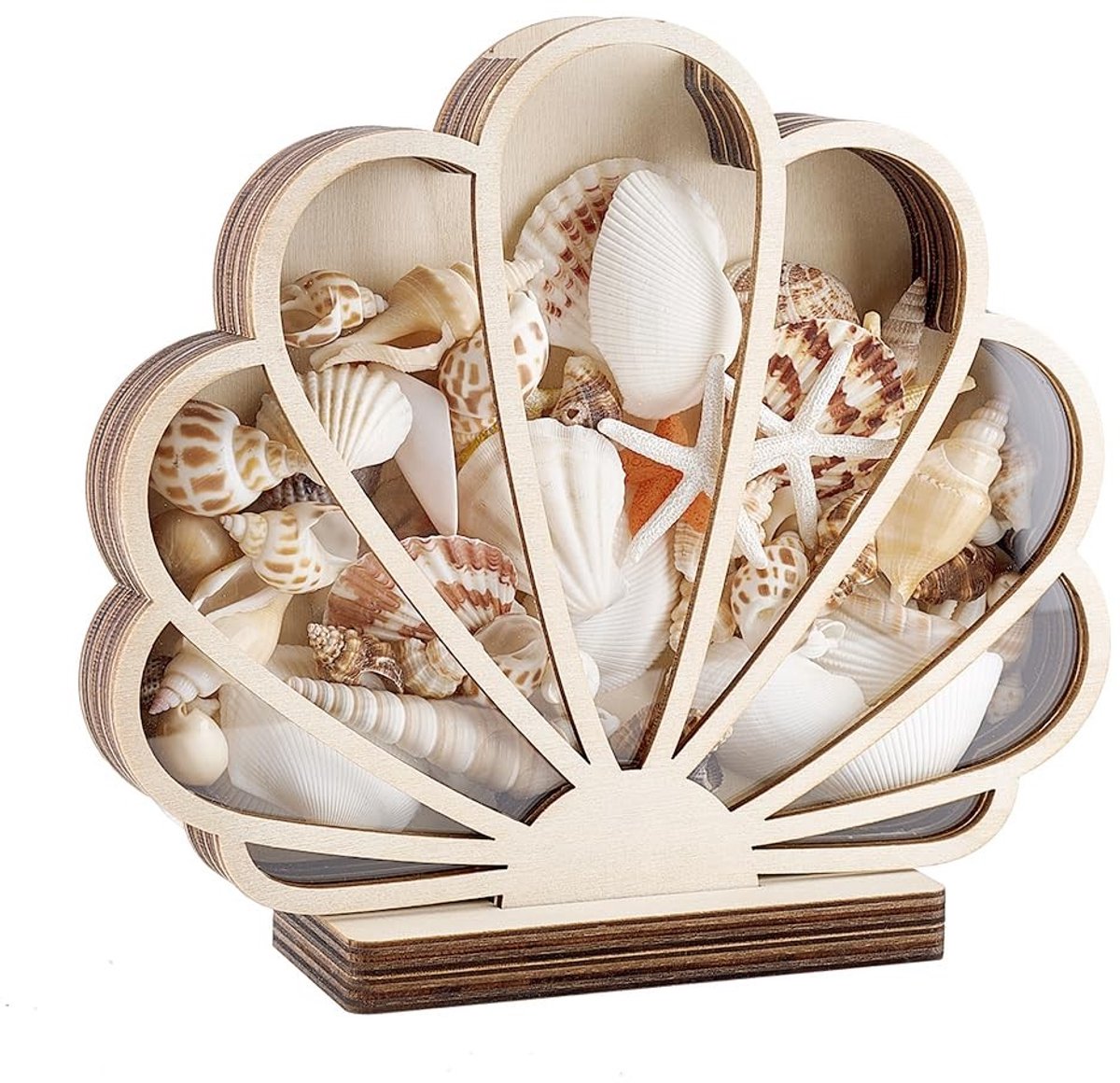 Dailygoods- Schelpdoos Houten - Display Box - Schelphouder - Vitrine - Decoratie - 19,8 x 17,8 cm - Displaybox