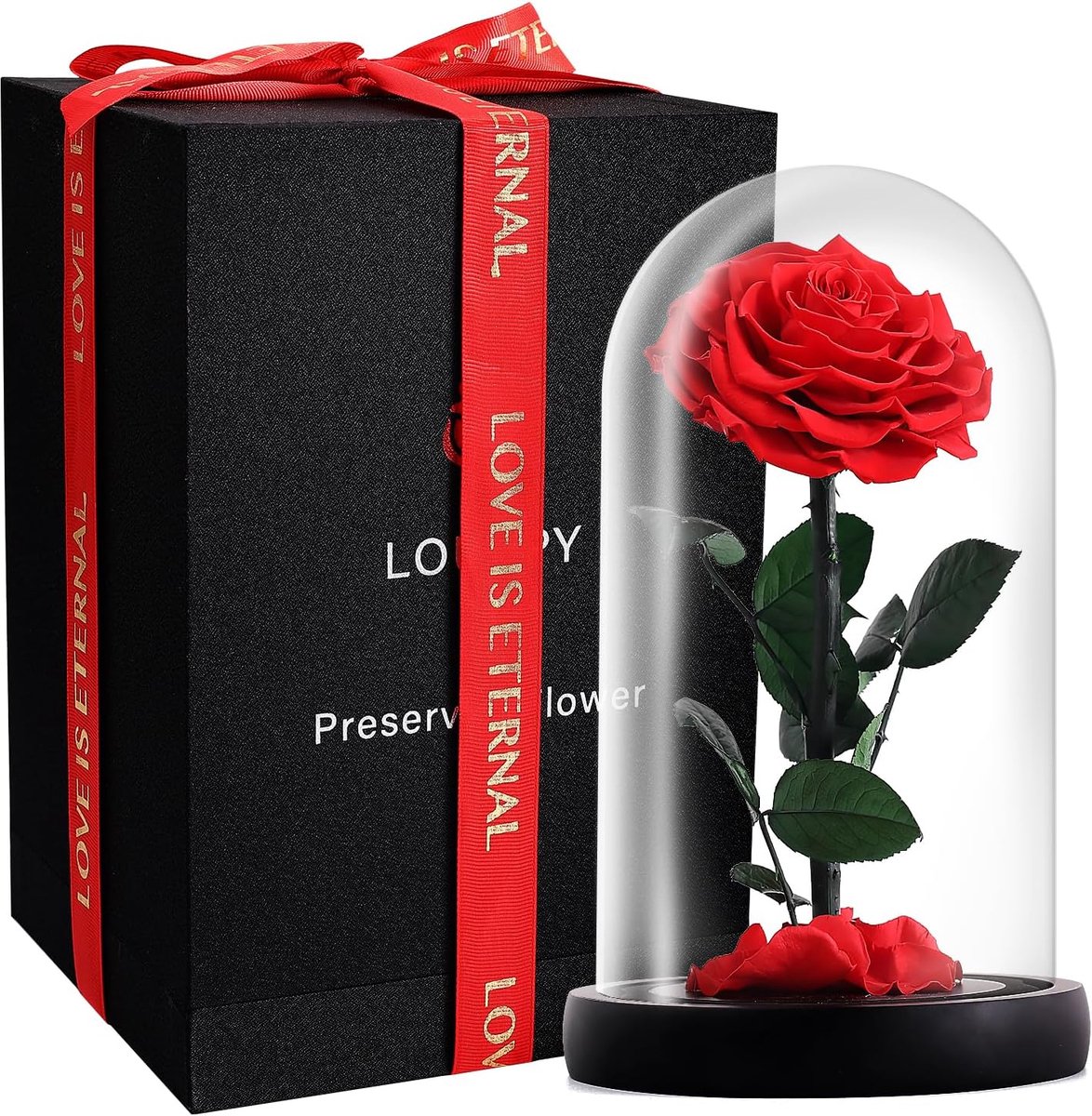 Eeuwige Roos - Bloem in Glas - Cadeau Idee - Handgemaakt Natuurlijk - 28 cm Hoog - Rood