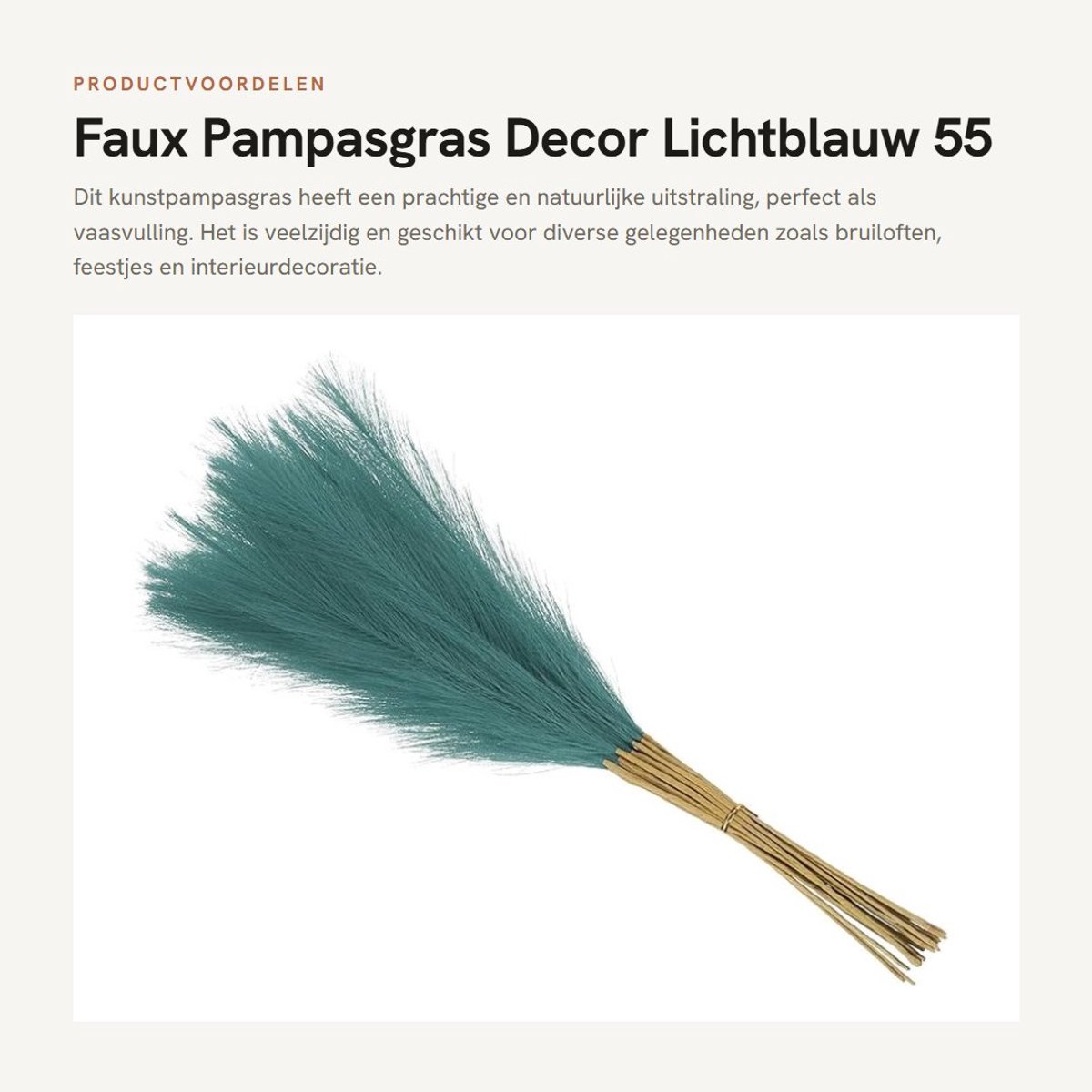 Dailygoods- Pampasgras 55 cm - Kunstpampas - Vaasvulling - Decoratie - Bruiloft - Pluizig 