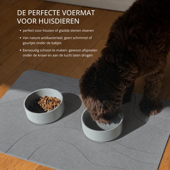 XL Diatoom Steen Badmat - Natuurlijk Sneldrogend - Hygiënisch - Anti Schimmel Anti Slip en Stijlvol 75x45cm – Droog in Seconden