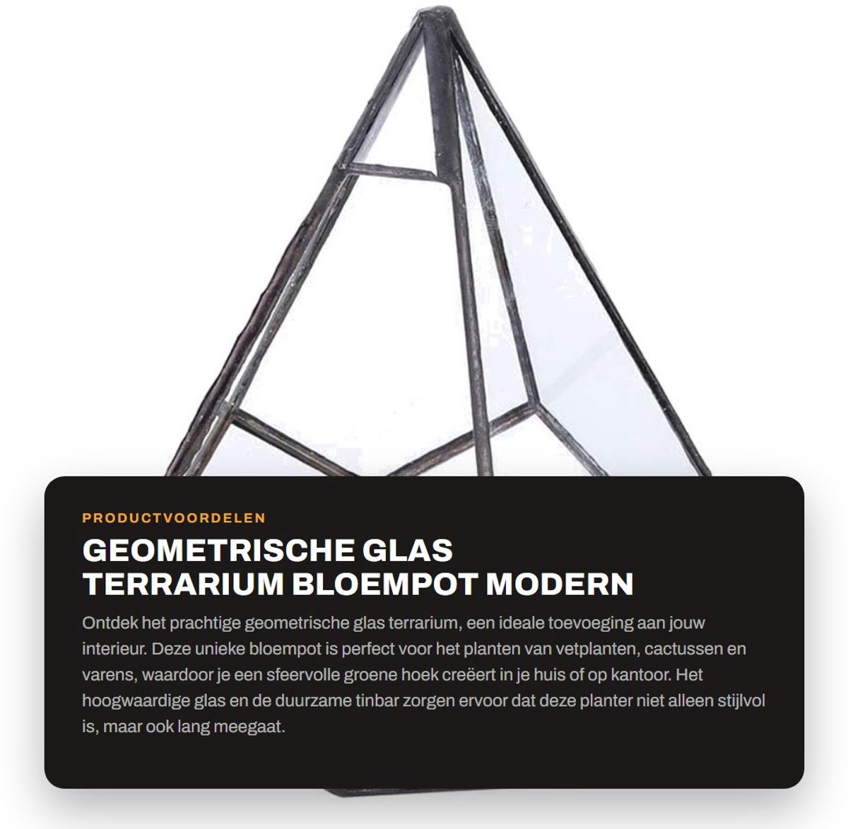 Dailygoods- Terrarium Geometrisch - Glazen Plantenbak - Sterk en Duurzaam - Voor Vetplanten - Decoratie - Corrosiebestendig