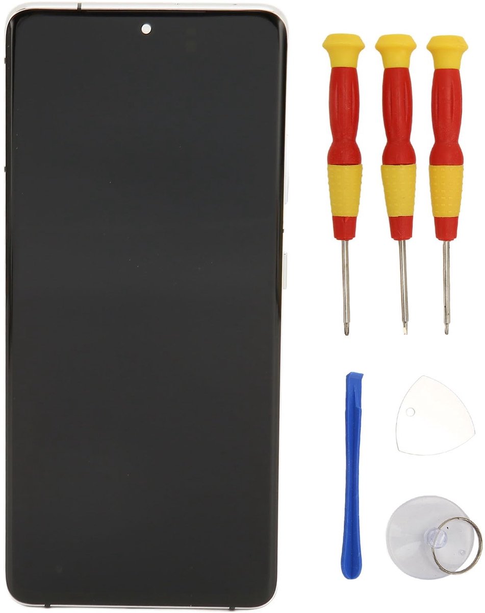 Dailygoods- Schermvervanging OLED Touchscreen - Digitizer Montage met Frame - Vingerafdrukken - Gereedschapsset - Zilver - Compatibel met S21 Ultra 5G - Display