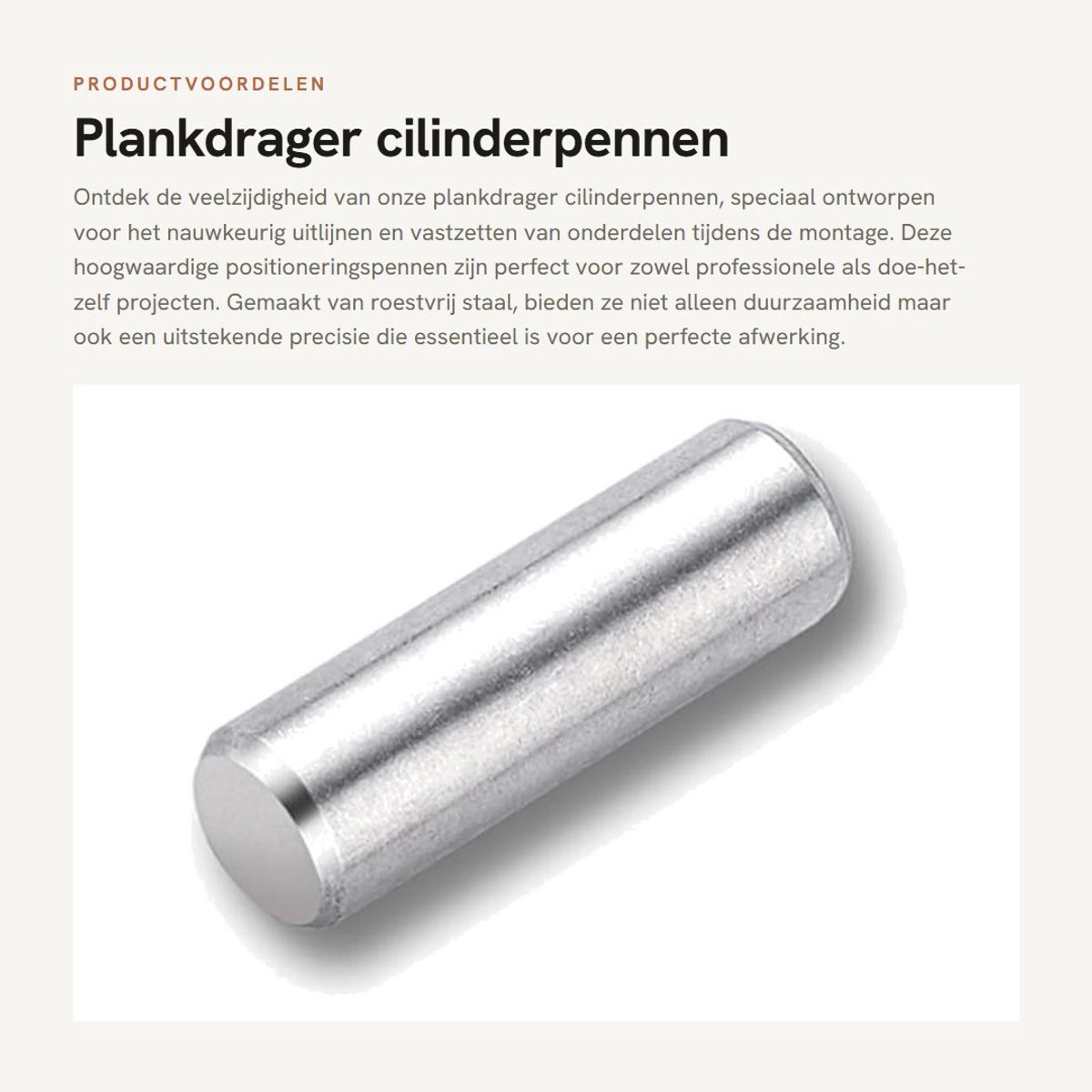 Dailygoods- Plankdrager Roestvrij Staal - Cilinderpennen - Positioneringspennen - Plankstift M4x30mm - 20 Stuks - Duurzaam en Corrosiebestendig - Positioneringspen