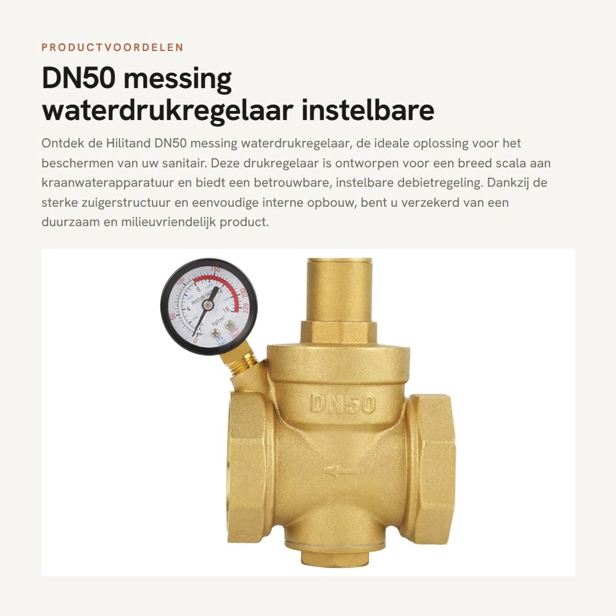 Dailygoods- Waterdrukregelaar DN50 - Instelbare Drukregelaar - Messing - Duurzaam Gebruik - Geen Bypass - Max. Druk 1,6 Mpa