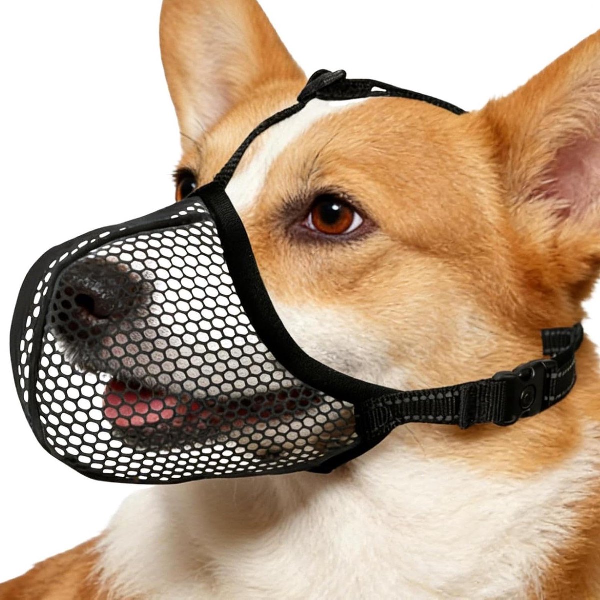 Hondenmuilkorf - Veiligheidsmasker Hond - Voorkomen van bijten - Reflecterende randen - Maat M - Zwart