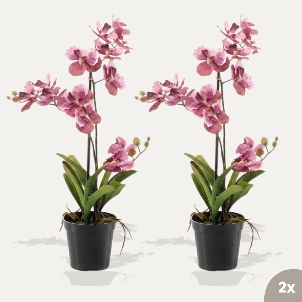 Orchidee Vanda roze 2 stuks - Kunstplanten - Bundelset