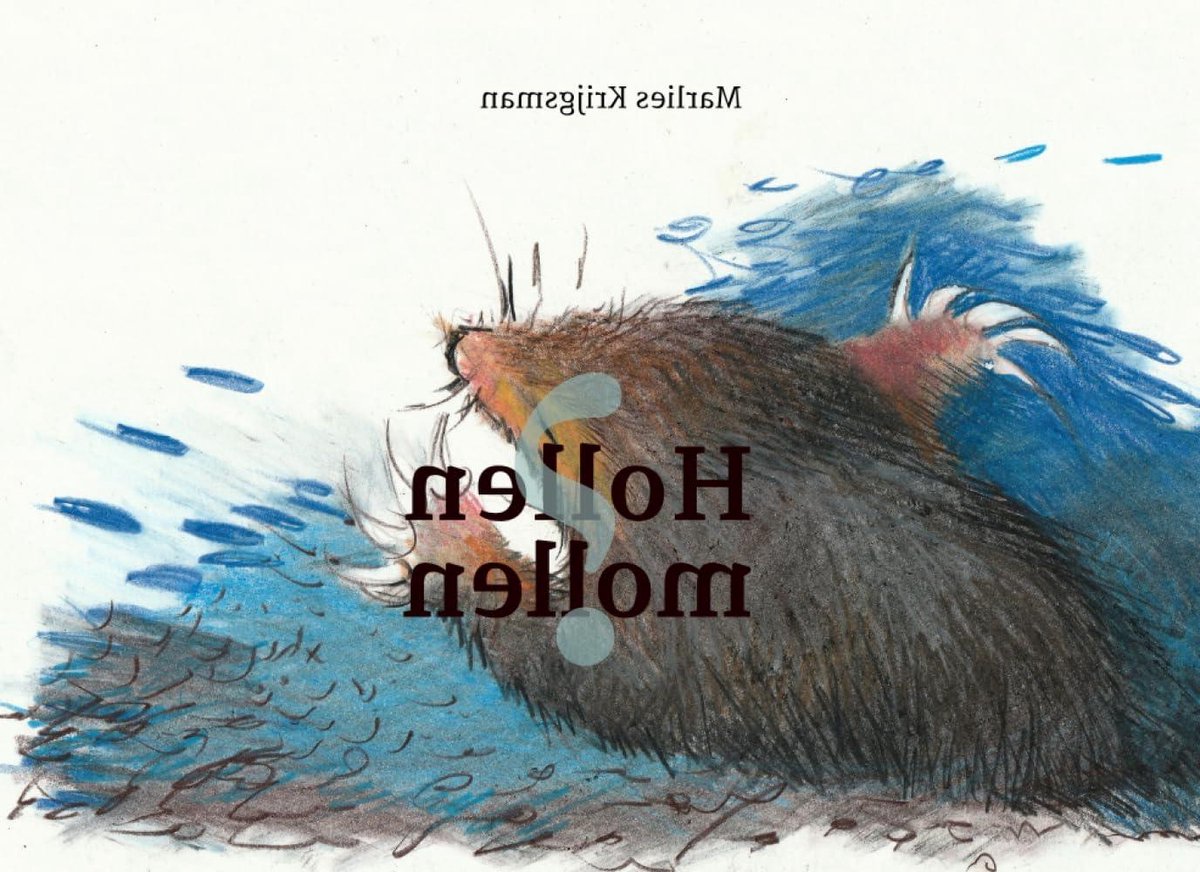 Voorleesboek - Prentenboek Mol - Samen Lezen - Vier Avonturen - 94 Pagina's - Geillustreerd