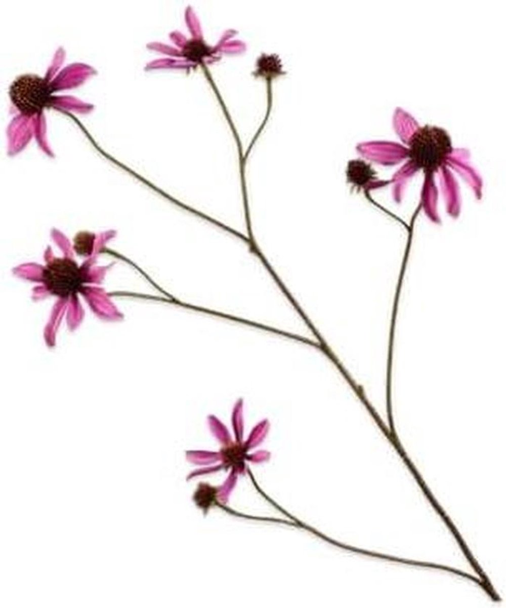 Kunstbloem Rudbeckia Tak - Zijden Bloem Decoratie - Interieur Aankleding - Natuurlijk Uite