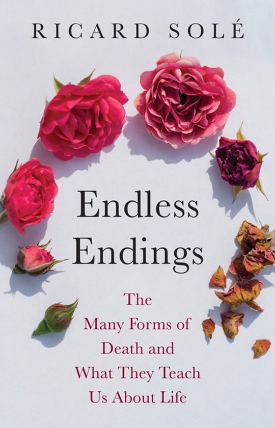 Endless Endings - cover