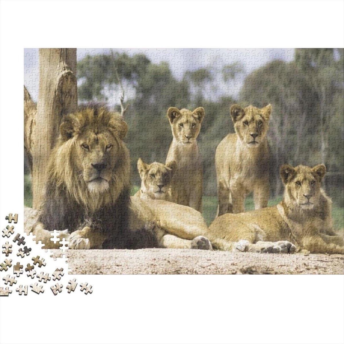 Gepersonaliseerde Puzzel - Foto Puzzel - Ontspanning - Met Bonus Poster - 1000 Stukjes - Meerdere Kleuren