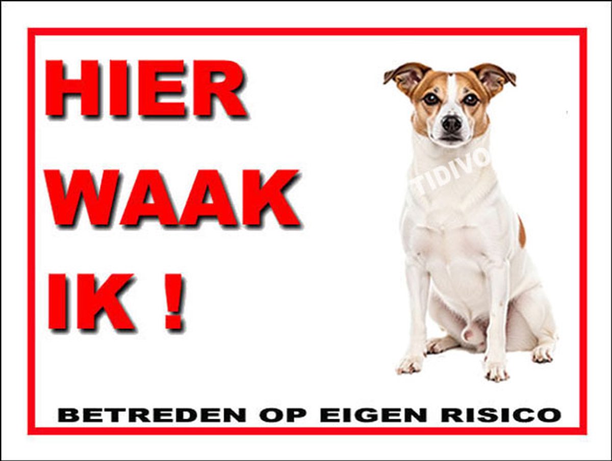 Norrbottenspets 3