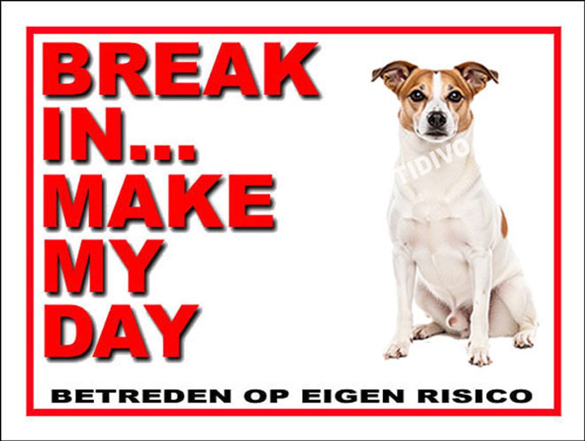 Norrbottenspets 1