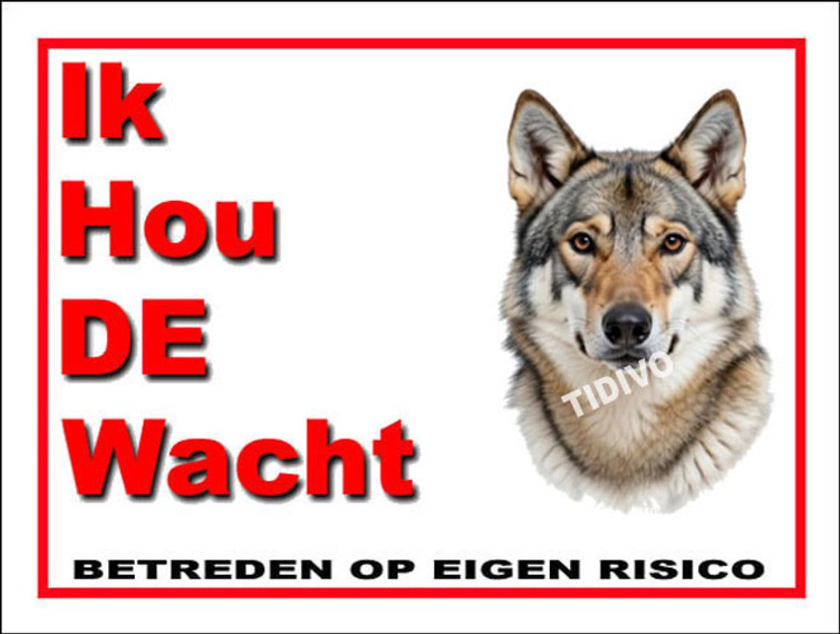 Saarlooswolfhond 7
