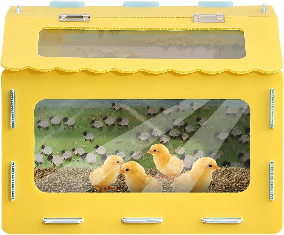 Reptielen habitat - Dierenverblijf - Kleine dieren - Veilige solide kwaliteit - 30 x 20 x 20 cm - Doorzichtig