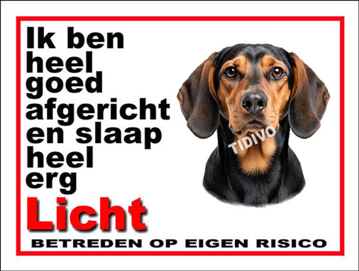 Schillerstövare 4