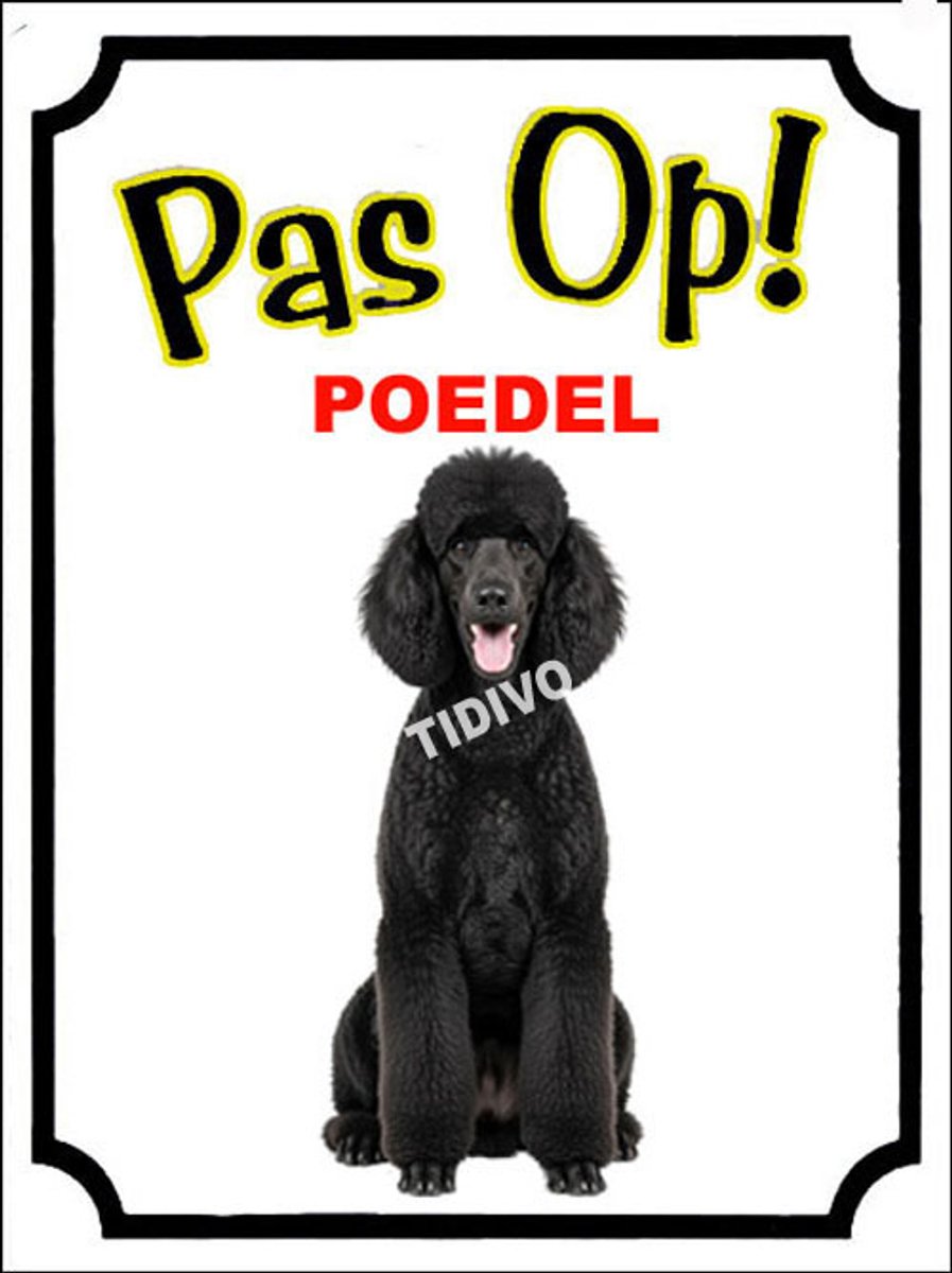 Poedel 16