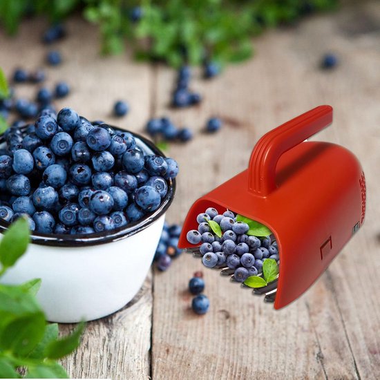 Berry Picker - Scoop Comb Tool - Efficiënte Harvest Blueberry Rake Picker Scoop Tool - Handy Fruit Harvester Ideaal voor bessen, druiven kers plukken, boomgaardgebruik en tuinieren — afbeelding 3