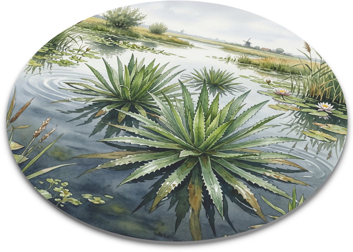 Ronde muismat met krabbenscheer Stratiotes aloides in aquarel - drijvende waterplant in veenplas met riet, waterlelies, molen en Nederlandse natuur 22x22 cm