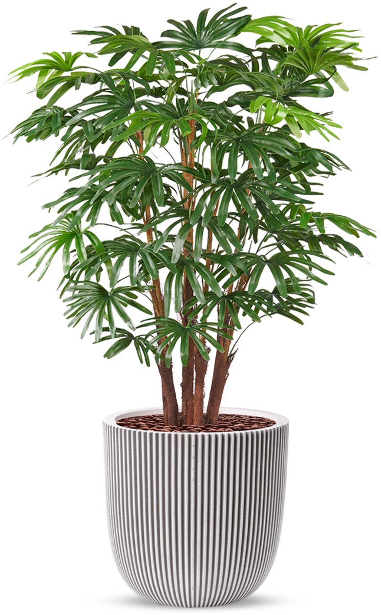 HTT Decorations Kunstplant Fortunei palm in Planter Ball ivoor H125 cm