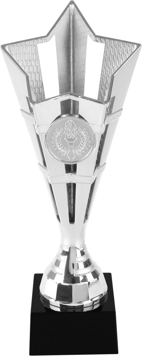 Sporttiek - Trofee - Zilver - Tweede prijs - Sportprijs - 20.5 cm Hoog