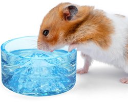 Glazen Voer- en Waterbak voor Hamster, Gerbil, Muis en Knaagdier - Mount Fuji Design
