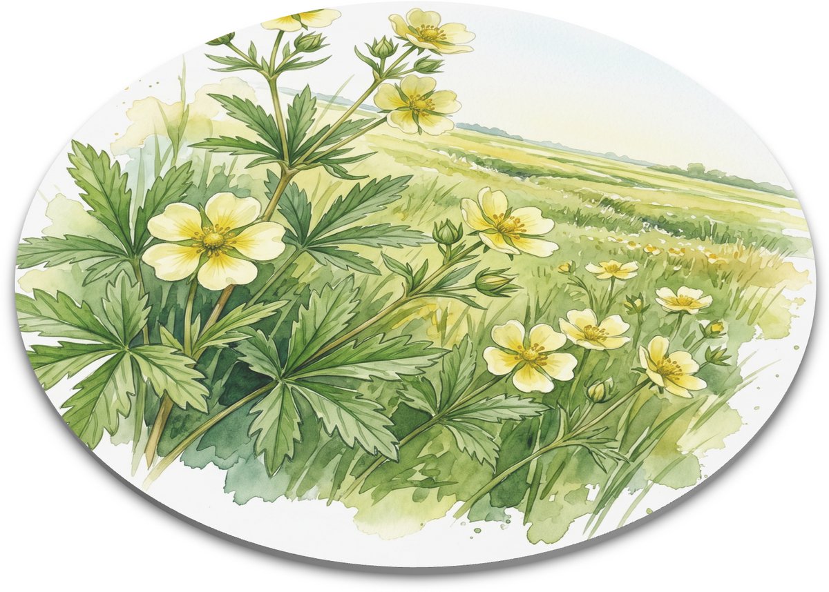 Ronde muismat - Rechte ganzerik Potentilla recta in Hollandse weide - Aquarel bloemen landschap - Bureau accessoire en decoratie
