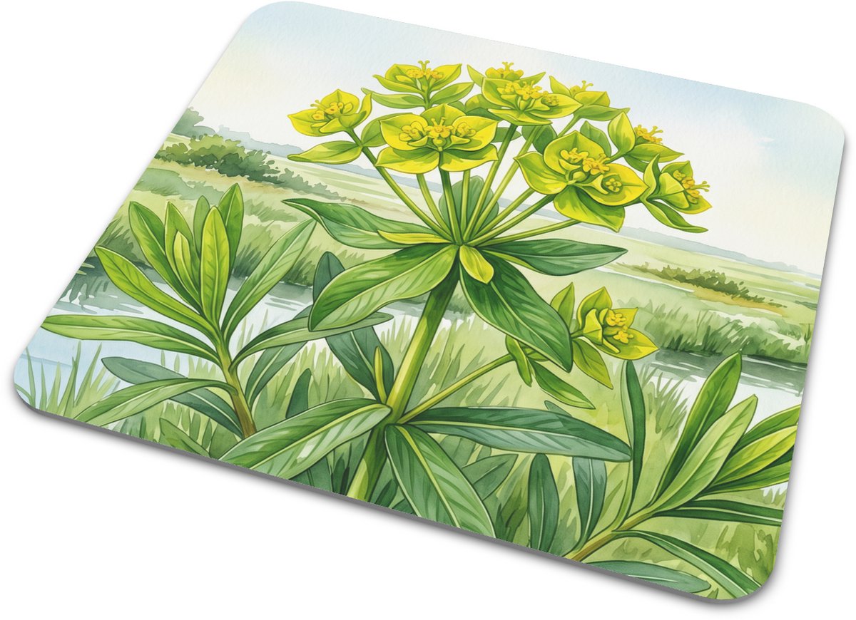 Muismat Aquarel Series - Moeraswolfsmelk Euphorbia palustris in Wetlands - Groene Botanische Aquarel Illustratie - Landelijk Cadeau voor Bureau en Kantoor - Natuur Accessoire Rechthoekig 22x20 cm