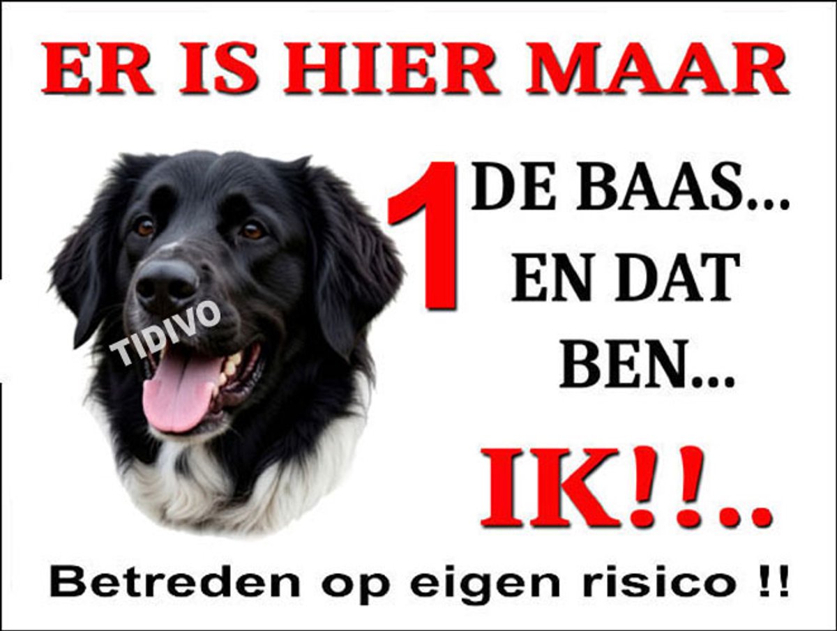 Stabijhound 26