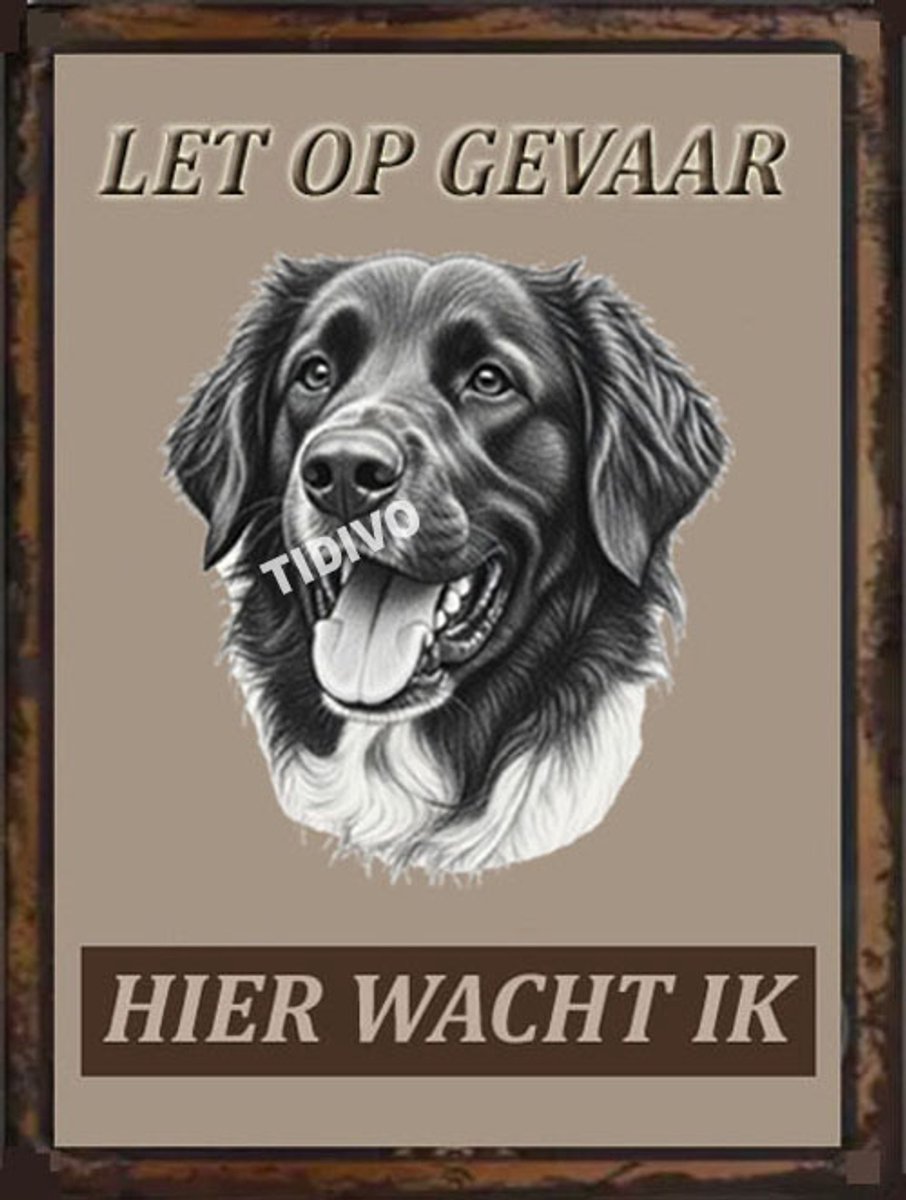 Stabijhound 18