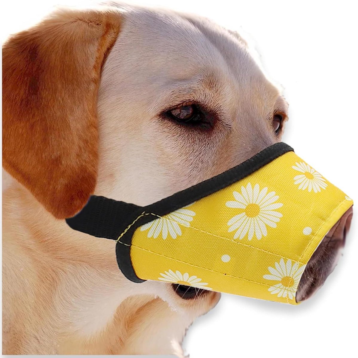 Honden Muilkorf - Anti-Blokkeer Muilkorf - Veiligheid Hond - Ademend Oxford Materiaal - Maat M - Geel