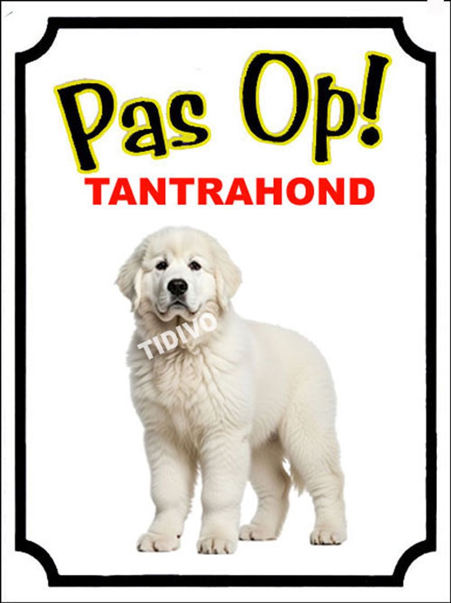Tatrahond 16