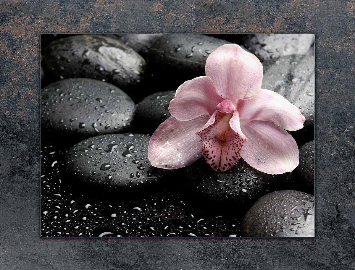 TMK ArtDeko - Beschermplaat Inductiekookplaat - 70x52 cm - Orchidee - Glas