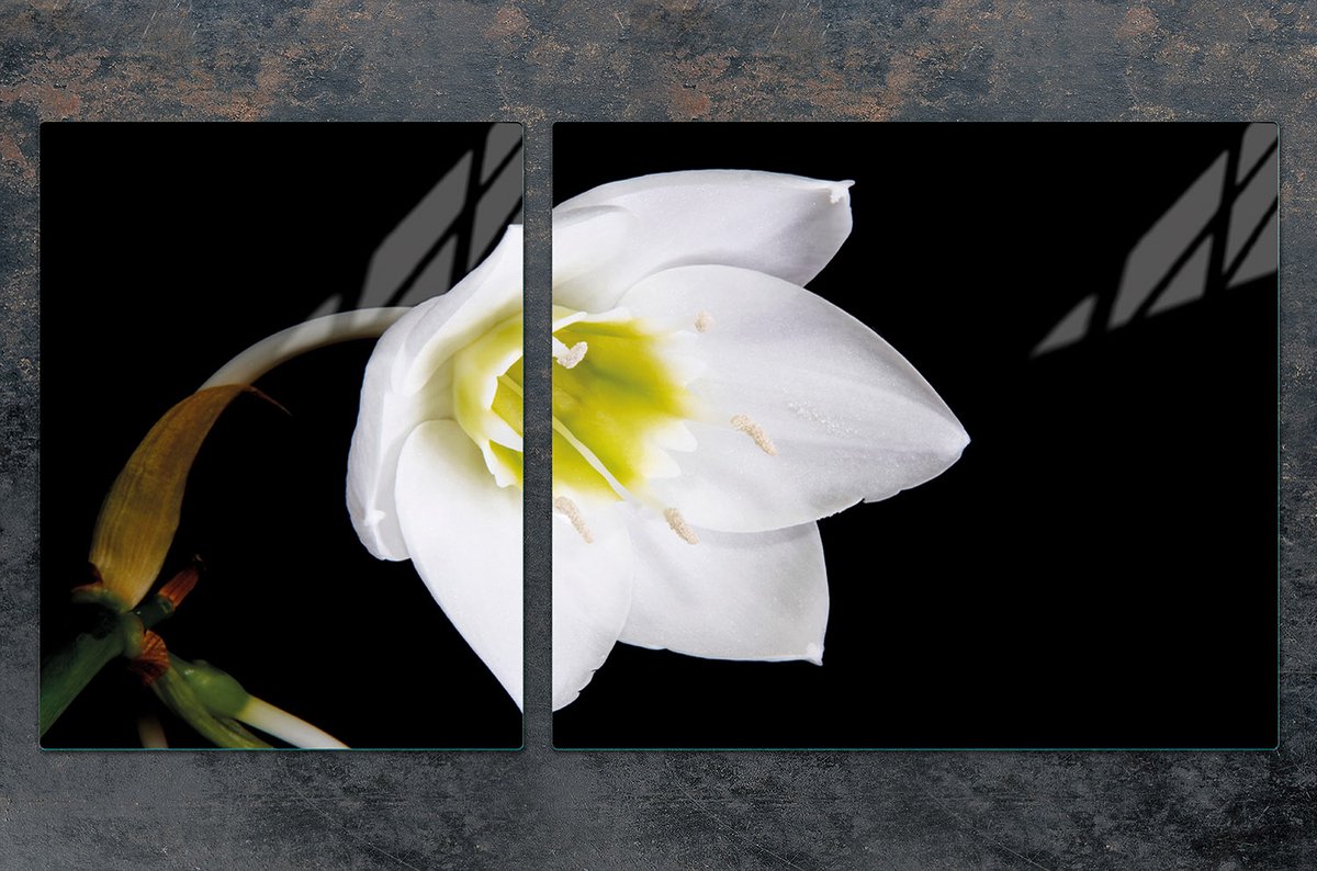 TMK ArtDeko Serie - Snijplank van Gehard Glas - 100x52 cm - Motief Orchidee