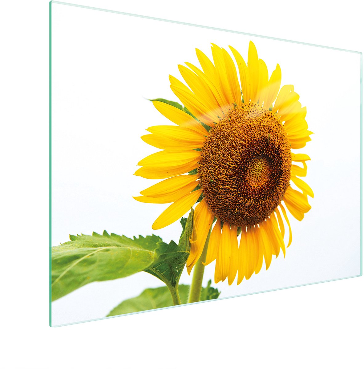 TMK ArtDeko - Snijplank - 30x22 cm - Kleurvol Bloemmotief